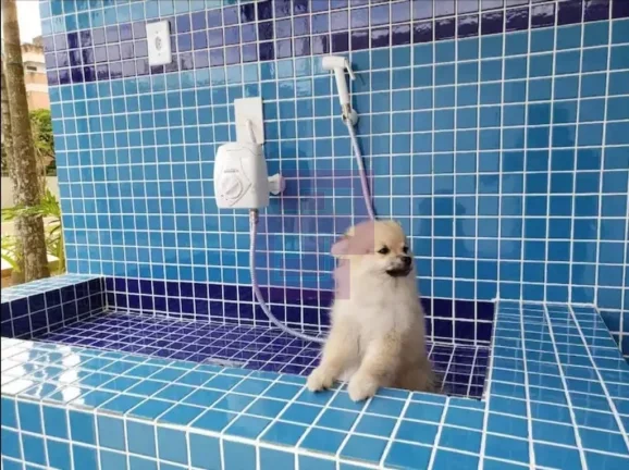 Imagem Enseada! Otimo Apartamento