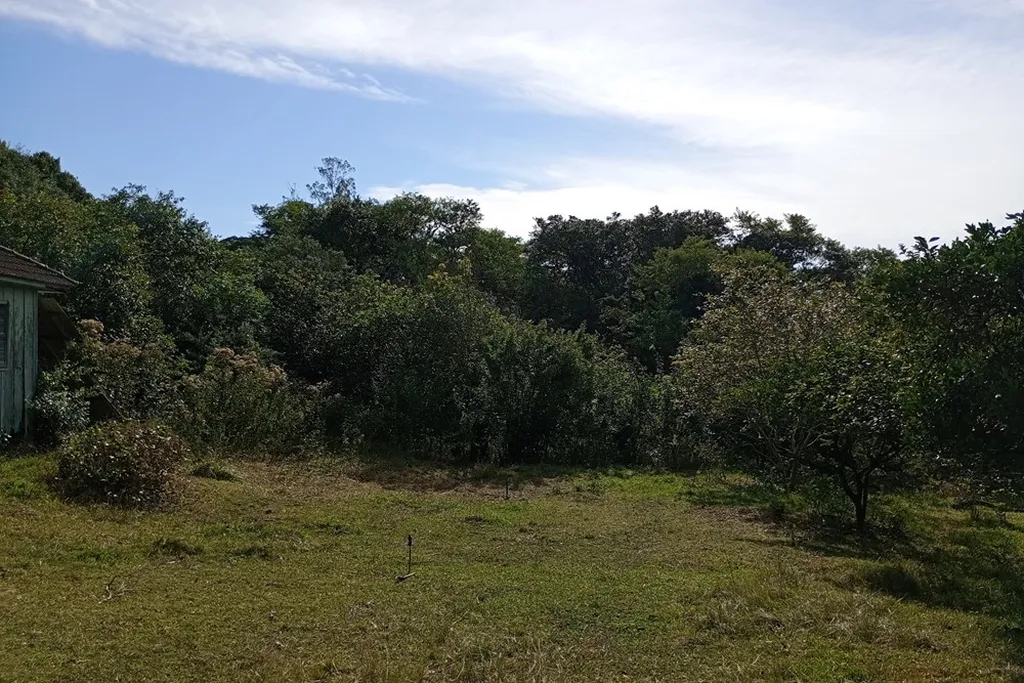 Imagem Fazenda em Belém Novo