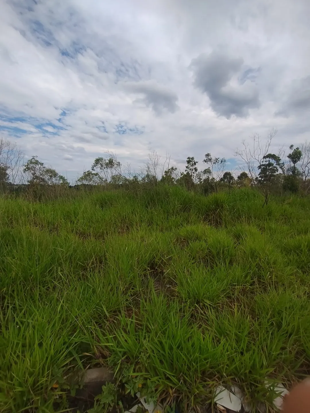 Imagem Oportunidade: Terreno em Viamão, JARDIM VIAMAR - Venda 363m²