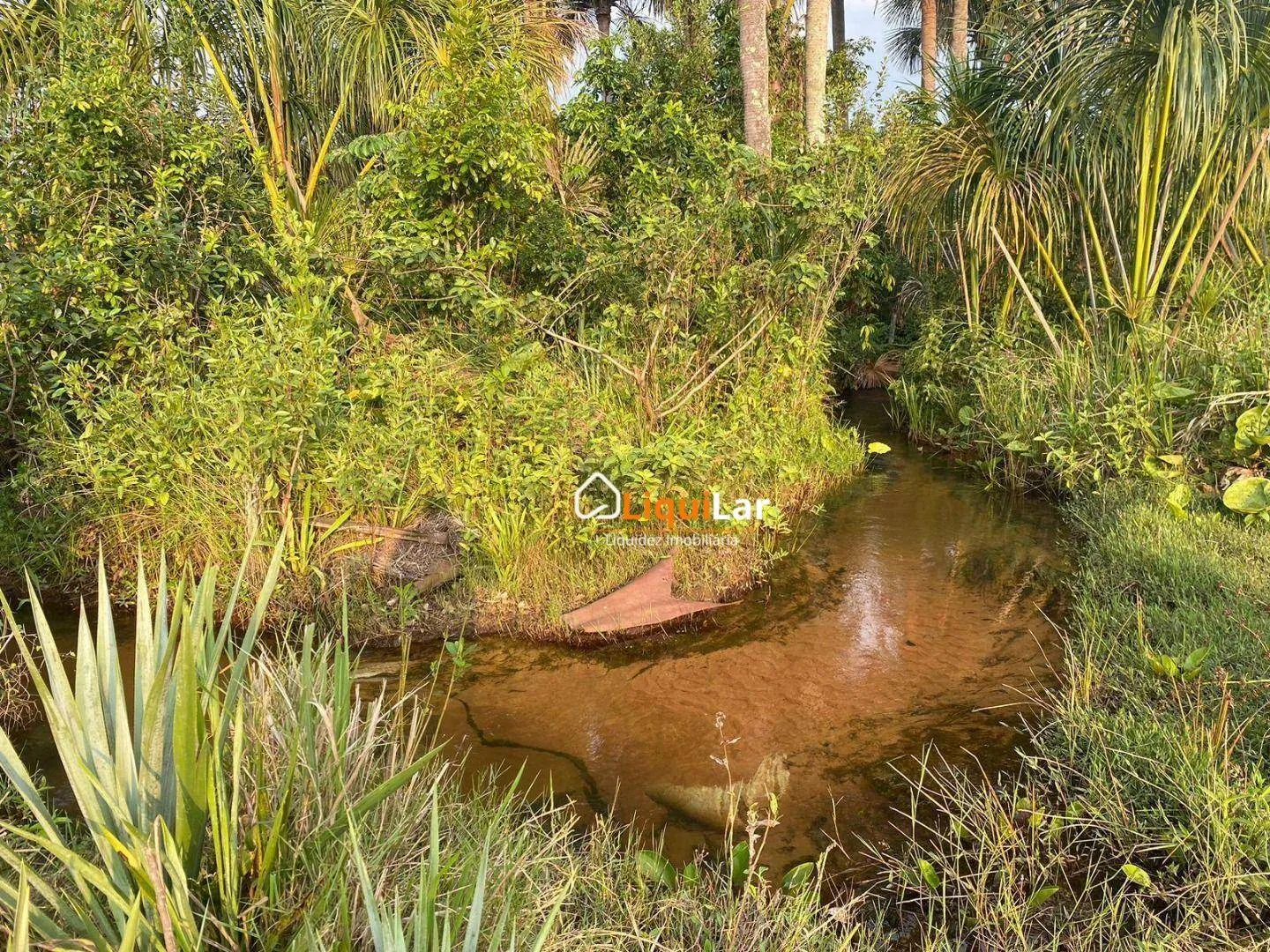 Imagem Chácara com 2 Hectares, Córrego e Dois Tanques de Peixe em Campo Grande/MS