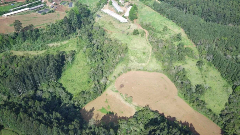 Imagem Granja para Venda em Lindóia do Sul, Interior