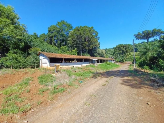 Imagem Área Agrícola para Venda em Concórdia, Interior