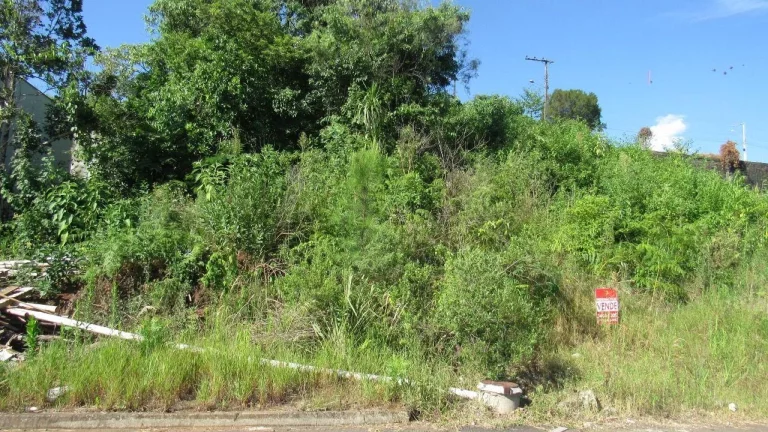 Foto do imóvel Terreno para Venda em Concórdia, Jardim em Loteamento D Italia