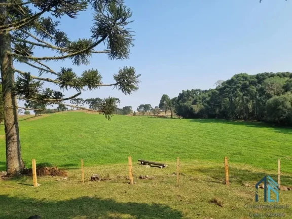 Imagem Sítio/Chácara a venda com 33 hectares bem localizado no interior de São Joaquim - SC