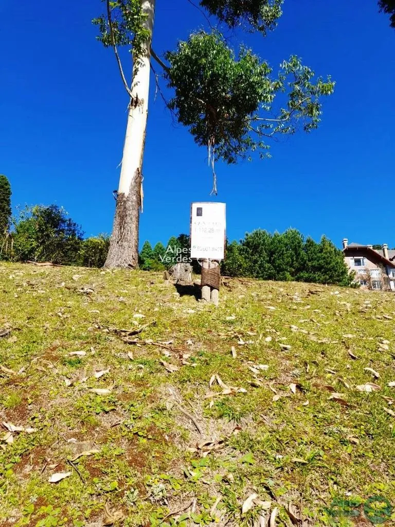 Imagem Área à venda, 1112 m2 por R$ 2.500.000,00 - Bosque - Canela/RS