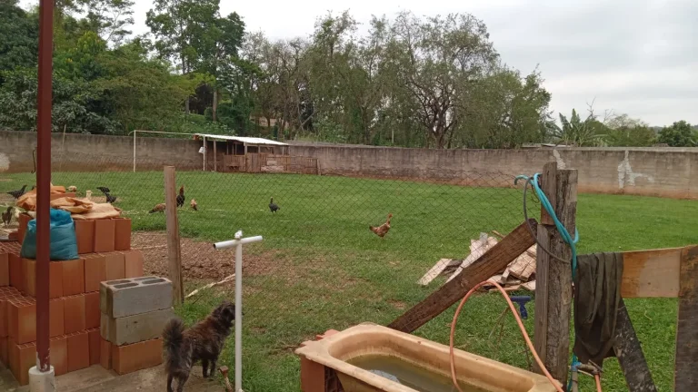 Imagem Ótima Chácara no bom Jardim em Jaguariúna SP