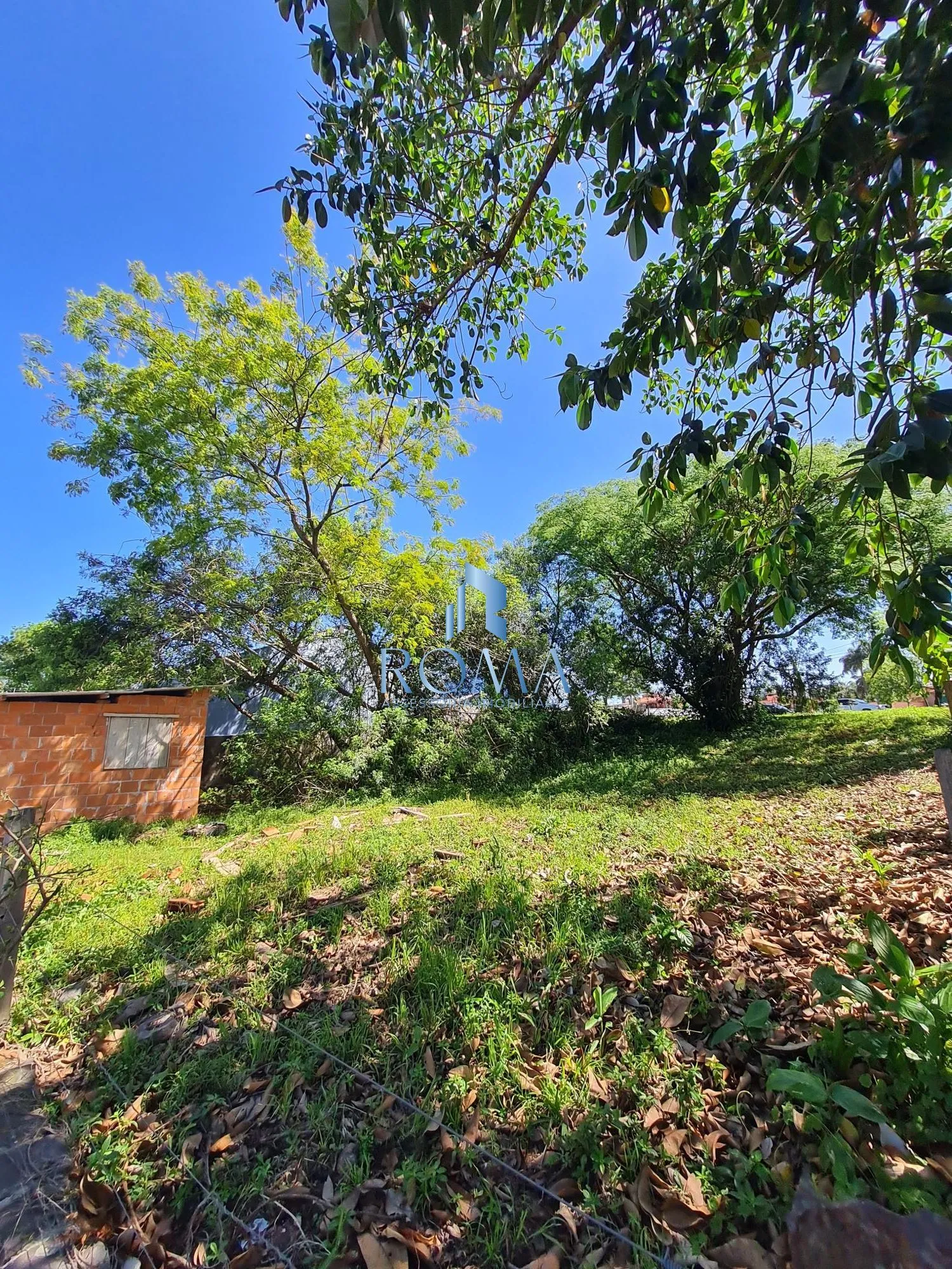 Imagem Terreno à venda São José Santa Maria/RS