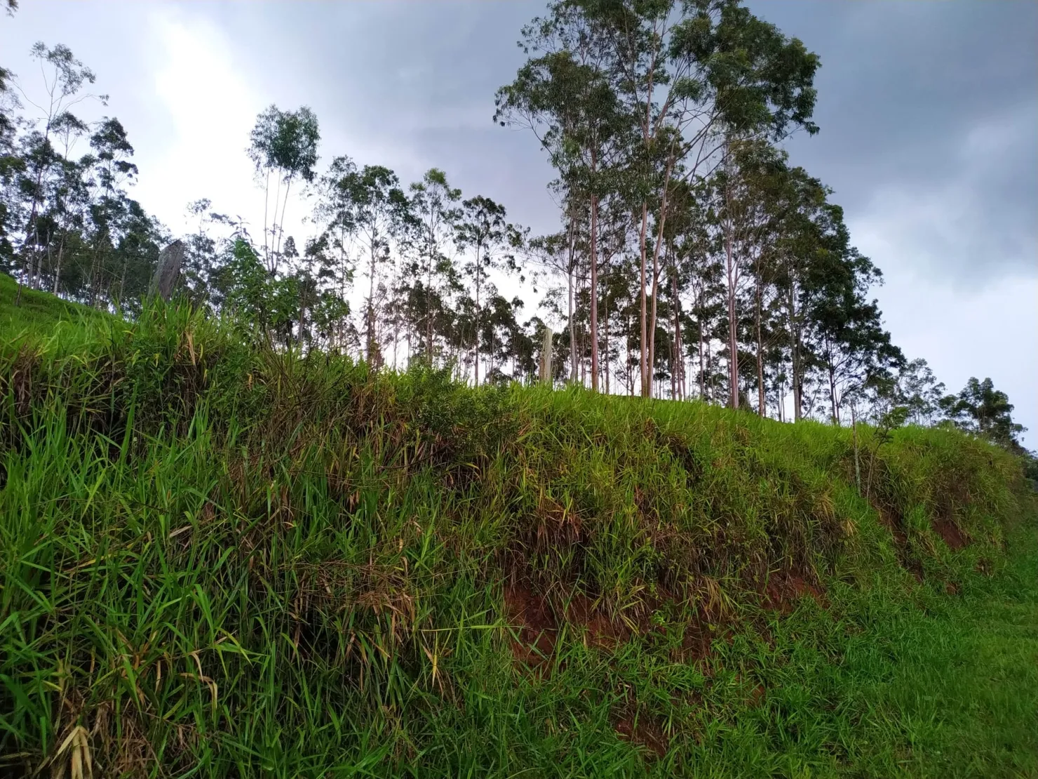 Imagem Chácara à venda 30000M², Zona Rural, Silveiras - SP