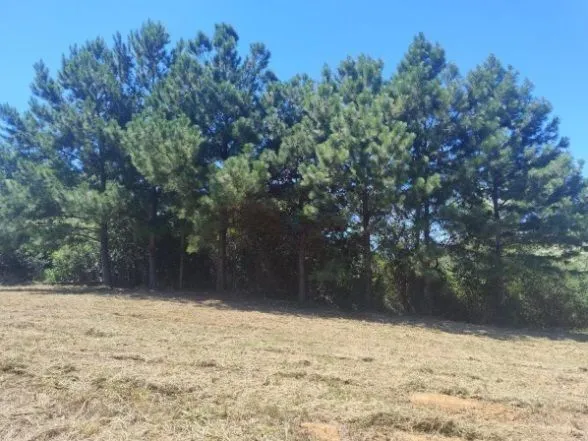 Imagem Oportunidade Única! Terreno Residencial com 1.943m² à Venda em Viamão, RS