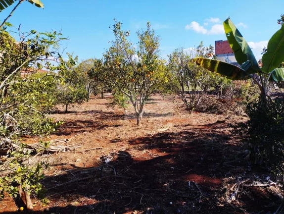 Imagem CHÁCARA JARDIM CANANÉIA