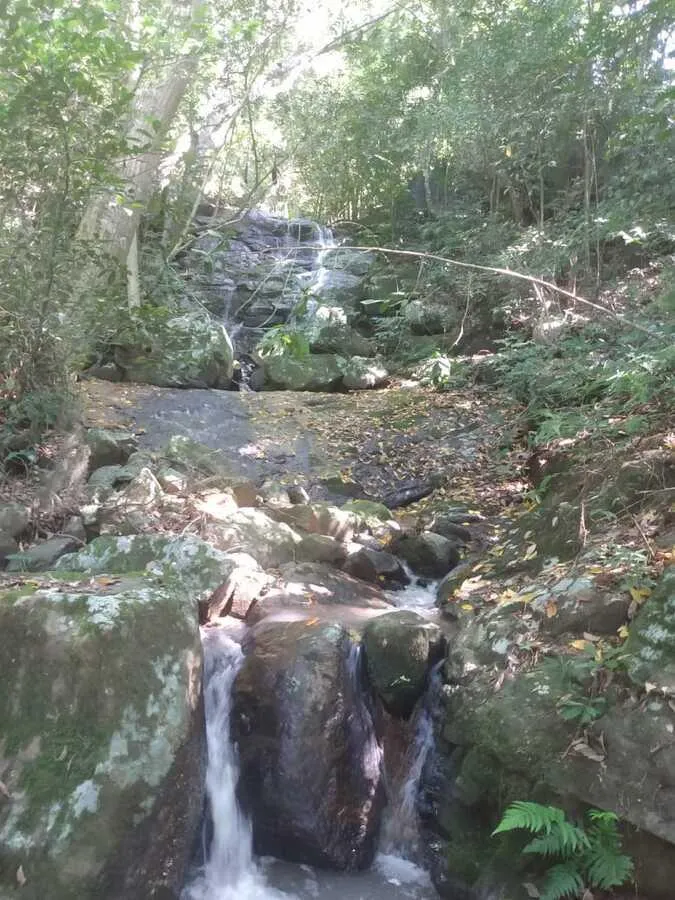 Imagem Chácara para venda, bairro Voluntário Baixo em Igrejinha/RS.