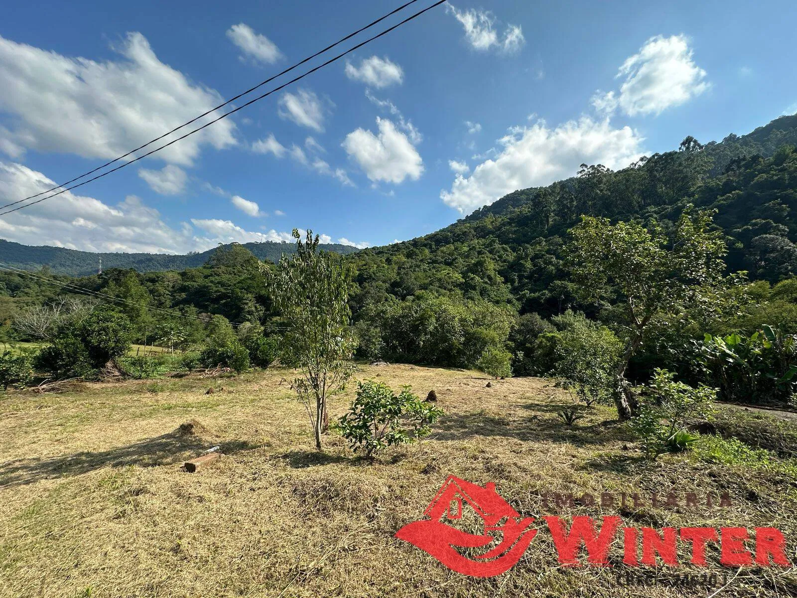 Imagem Chácara com 1.779m2 em São Vendelino a venda.
