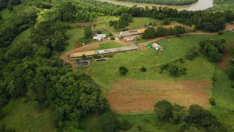 Imagem Área Agrícola para Venda em Concórdia, Interior