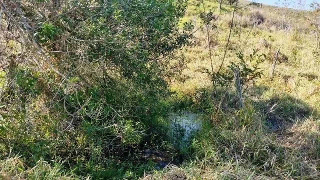 Imagem Chácara à venda, Borba, Pindamonhangaba, SP