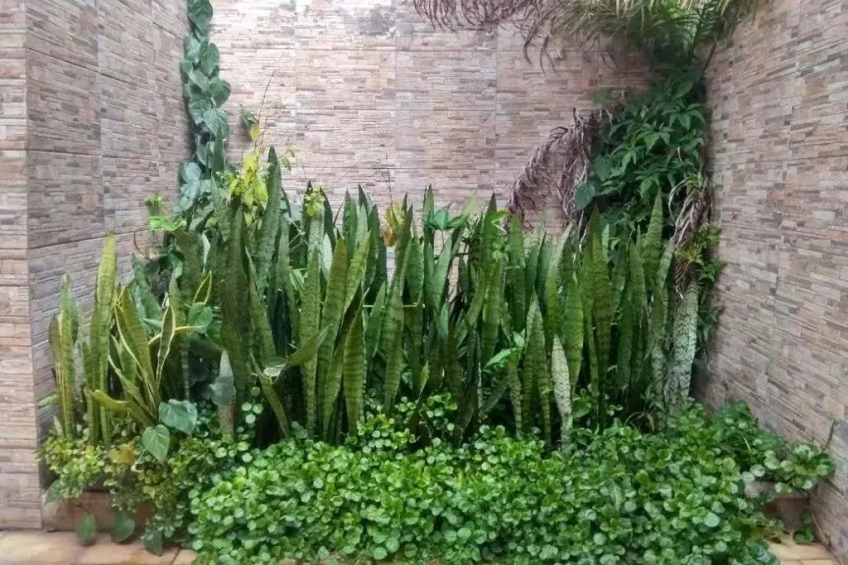 Anuncio Imóvel