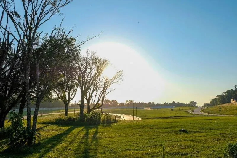 Imagem Lote à venda em Caxias do Sul, Pedancino, 1038m2