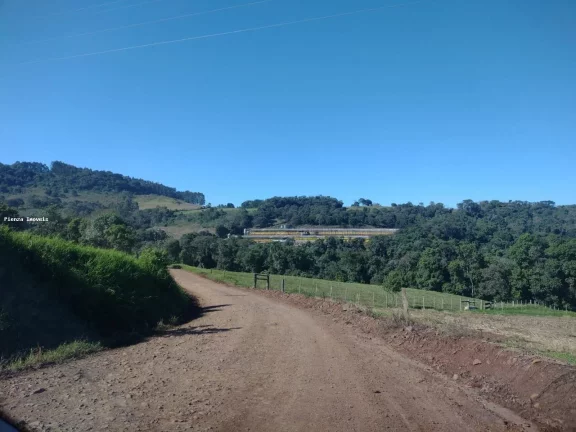 Imagem Granja para Venda em Seara, Interior