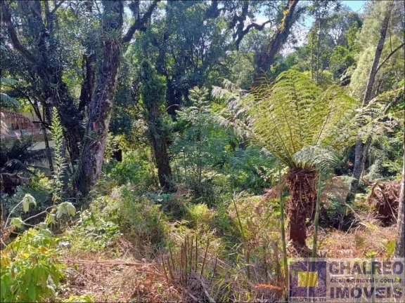 Imagem TERRENO RESIDENCIAL em Gramado - RS, Carniel