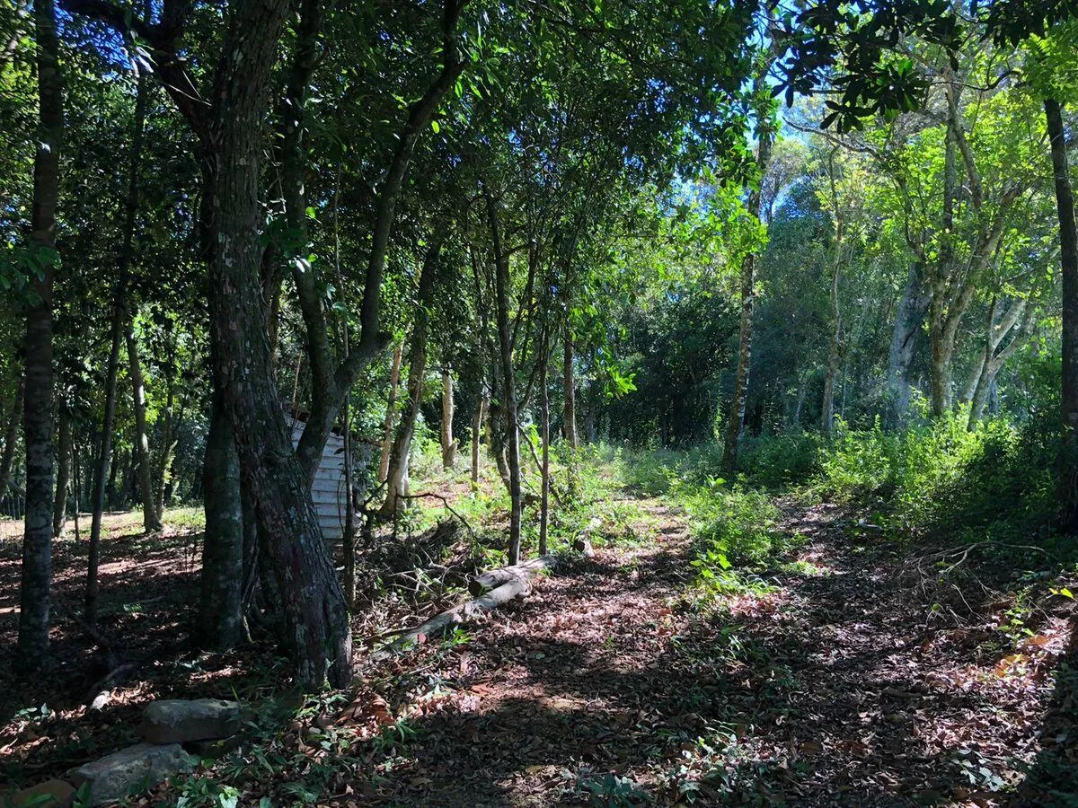 Imagem Chácara para venda , localizado em São João do Deserto, Lomba Grande em Novo Hamburgo/RS.
