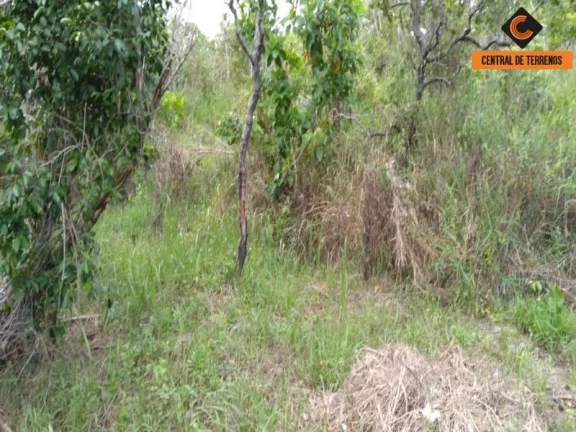 Imagem TERRENO NA VIA PARAFUSO