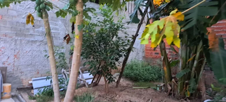 Imagem Casa com dois dormitórios no Parque Residencial Potiguara em Itu SP