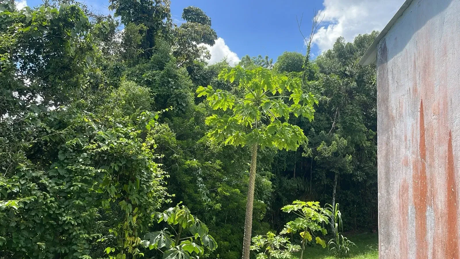 Foto do imóvel: Casa com 5 Quartos à Venda, 220 m² em Aldeia dos Camarás - Camaragibe