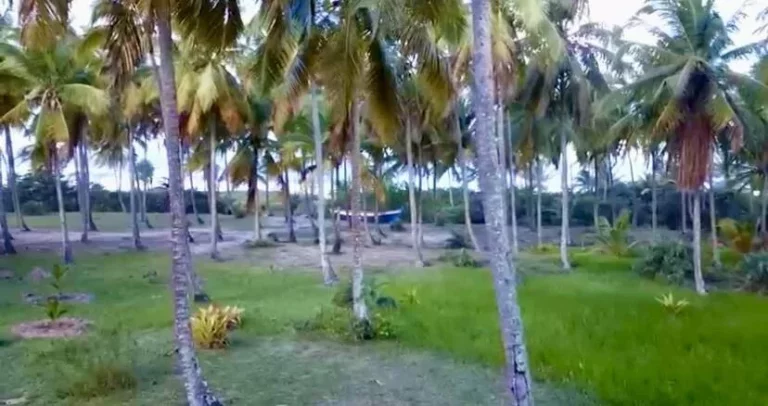 Foto do imóvel ÁREA FRENTE MAR - BOMBAÇA