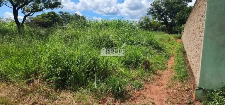 Imagem Terreno à venda no Bairro Chácaras Vila Real, Uberaba - Oportunidade única!