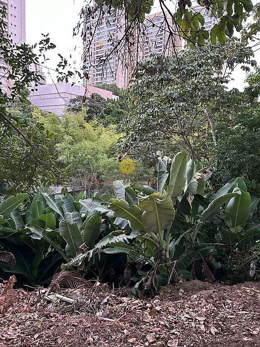 Imagem Terreno - Venda na Colina B1 Patamares Salvador-Ba