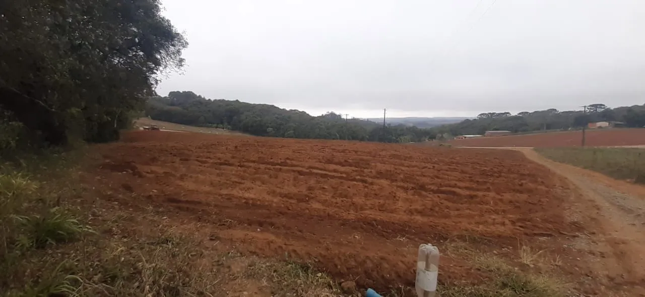 Imagem Projeto pioneiro de compensação ambiental em Piedade, SP!
