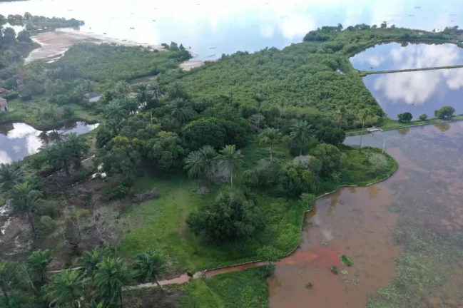 Imagem Terreno em Condomínio, 405m2, à venda em Jaguaripe, Mutá