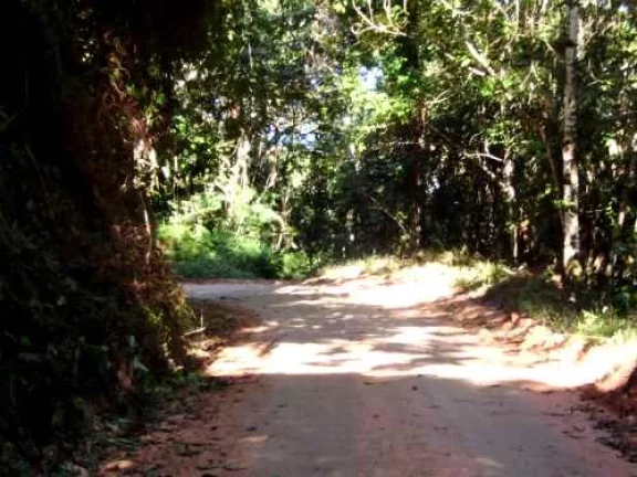 Imagem Área de 296.000 m2 - Sendo 190 mts de Frente para Praia do Simão.