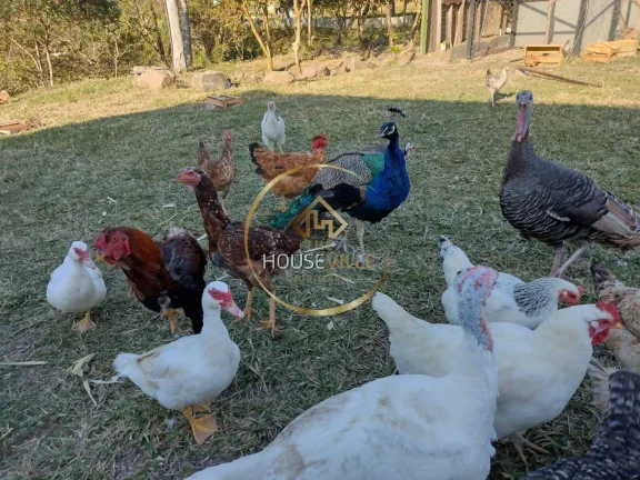 Imagem Chácara Casa térrea, Recanto dos Tamoios 13.000 mil m².