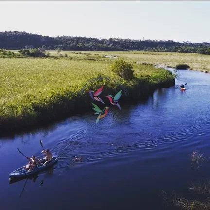 Imagem Mogi dos Pássaros - Mogiquiçaba - Belmonte - Bahia