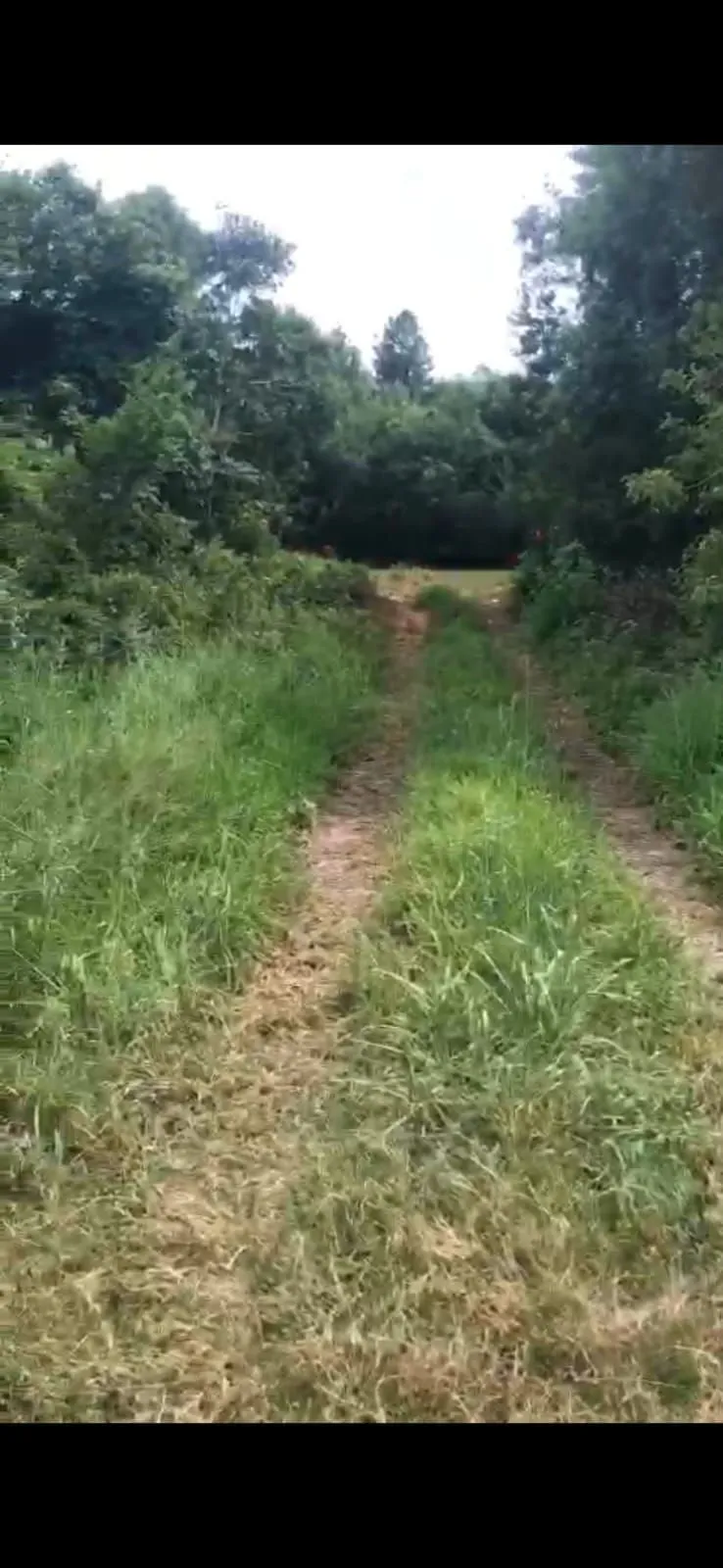 Imagem Área Rural em Fiuza