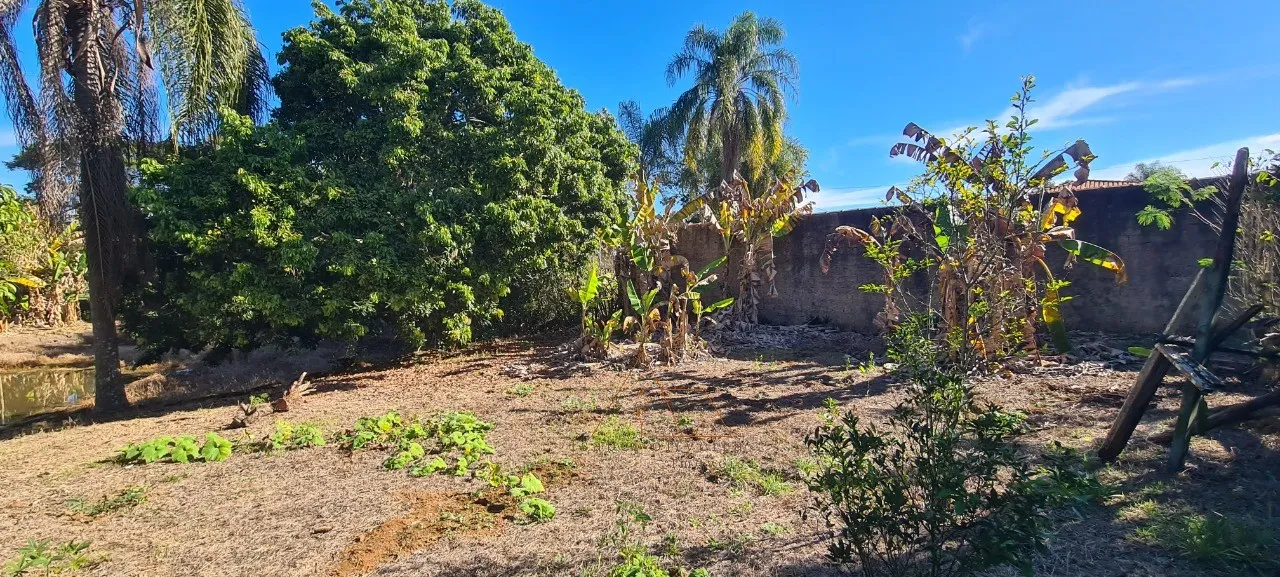 Imagem Chácara à venda em Quadra-SP, bairro Aleluia: 3 quartos, 1 sala, 2 banheiro, 120,00m² de área. Imperdível!