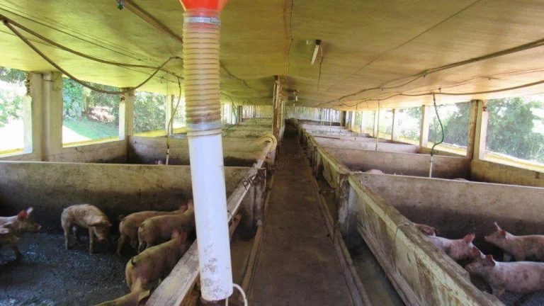 Imagem Área Agrícola para Venda em Lindóia do Sul, Rural