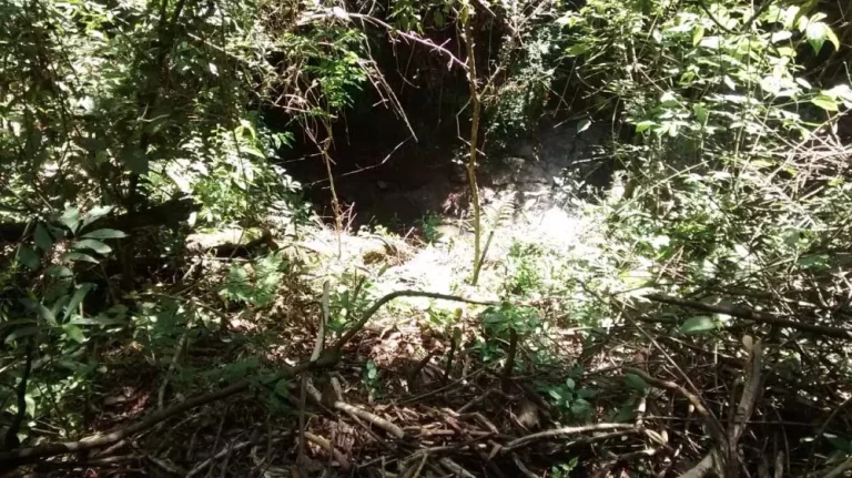 Imagem Propriedade Rural de 10 Mil Metros em Morro do Alto, Itapetininga - SP