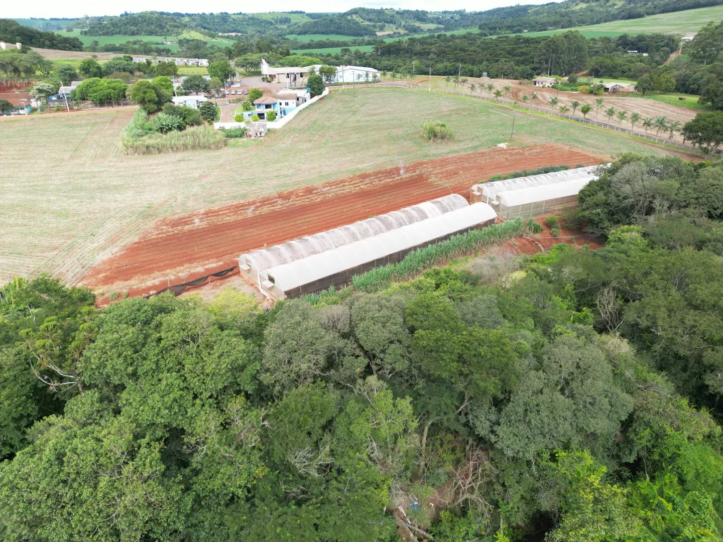 Imagem Chácara em Cascavel - Rio do Salto - Venda - Casa Sede, Lago para Pesca e Pomar - Aproveite!