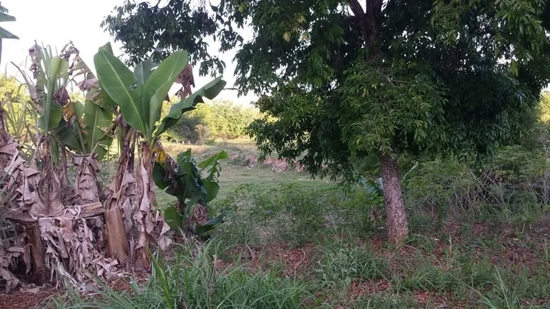 Imagem Chácara à venda 1550M², Granjas Rurais Reunidas São Judas Tadeu, Taubaté - SP