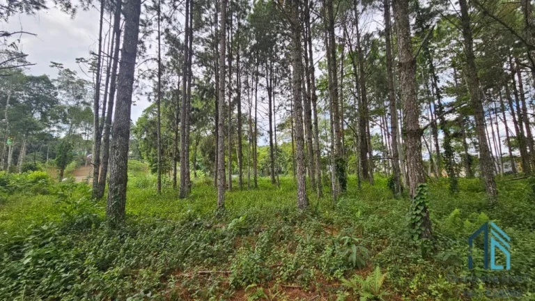 Imagem Terreno de Esquina a venda - Zona Industrial 7872 m2 em Blumenau SC
