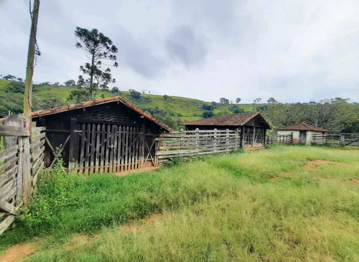 Imagem Sítio 52,64 ha à venda em Figueira, Caldas