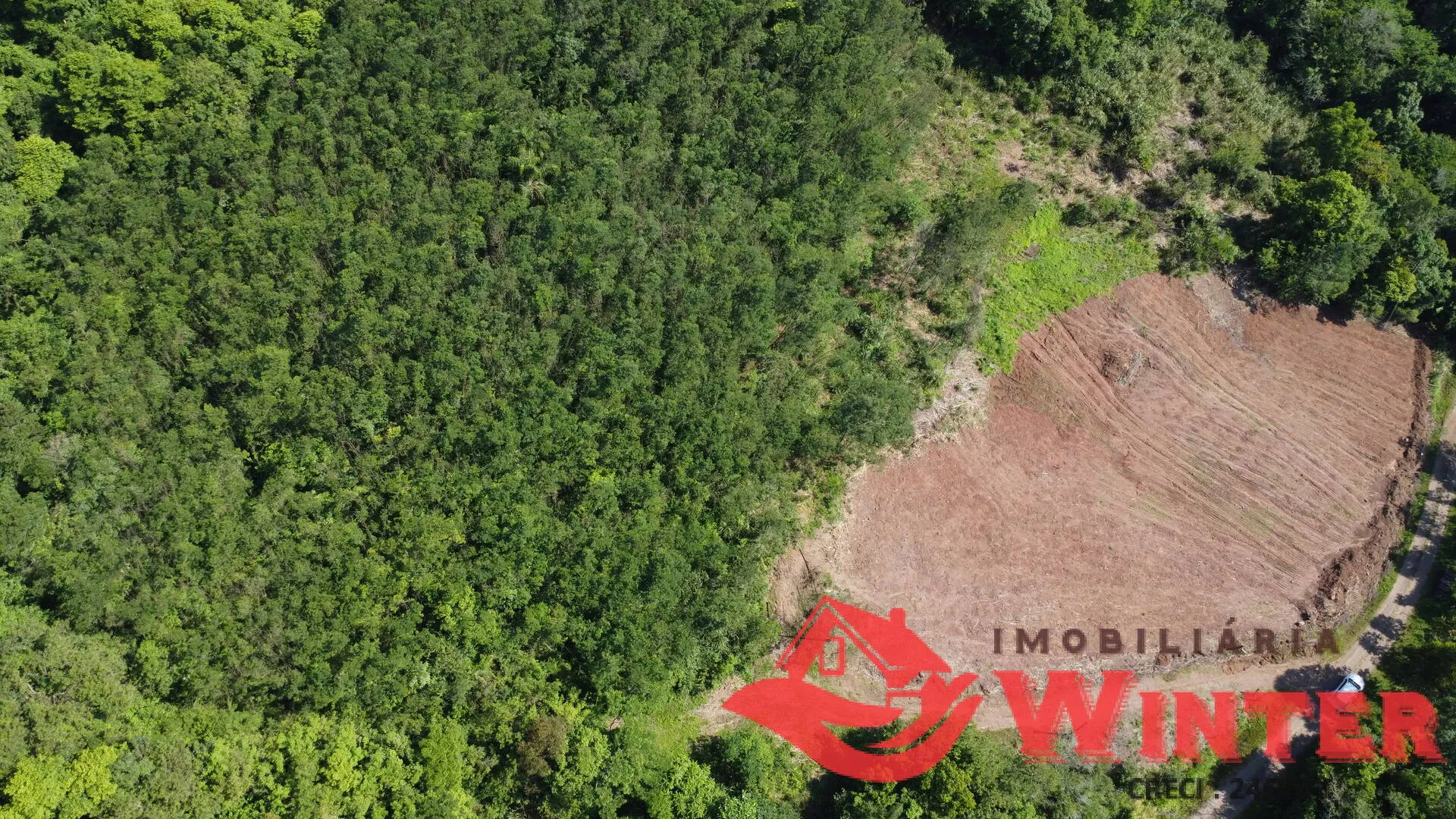 Imagem Área de terras com 10 hectares em Linha Nova
