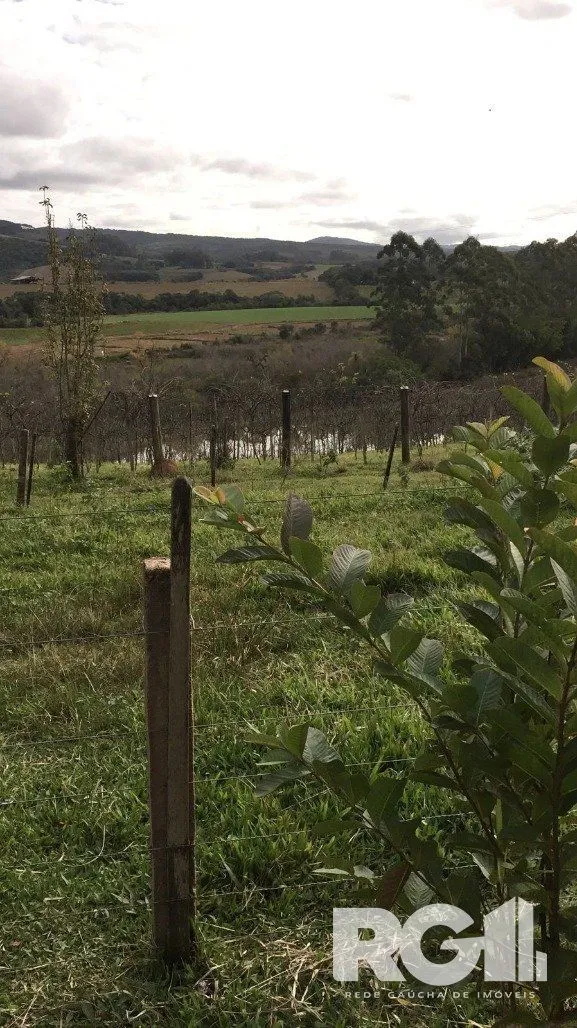 Imagem Excelente Sitio de 22 Ha em Mariana Pimentel.