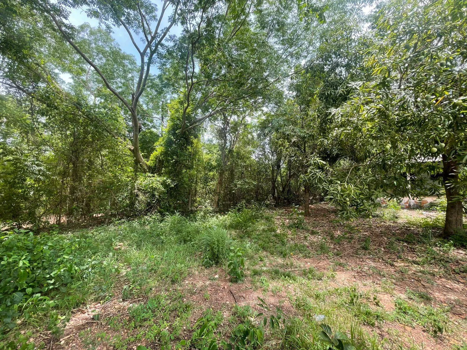 Imagem Casa 3 quartos, 1 suíte, área rural em Cuiabá - MT