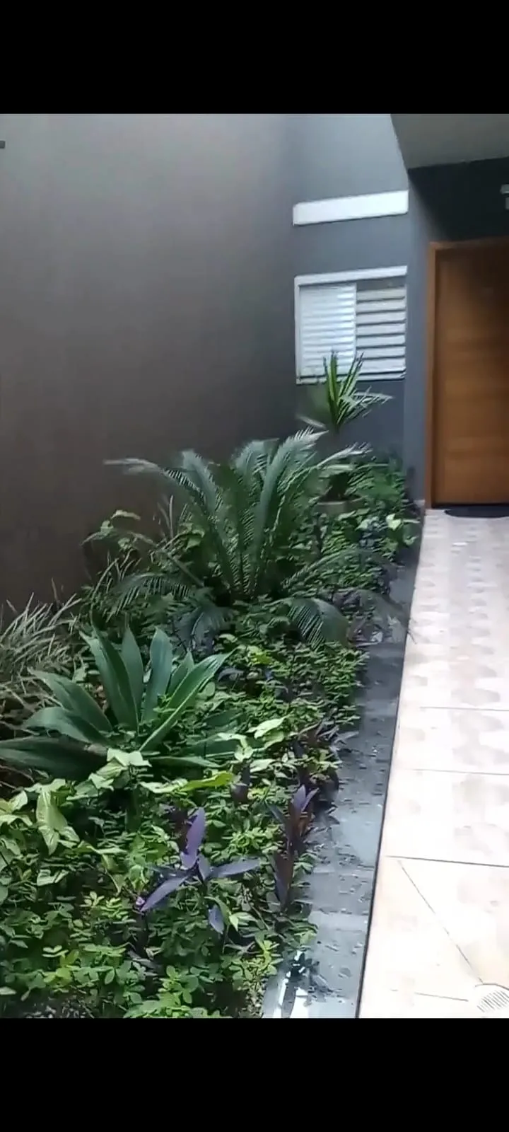 Imagem Apartamento à venda em São Paulo-SP, Parque Sevilha: 2 quartos, 1 sala, 1 banheiro, 1 vaga, 42m². Venha conferir!