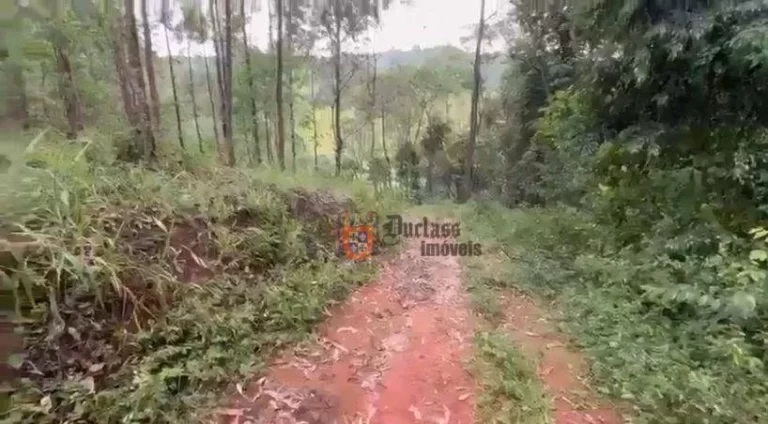 Imagem Sítio à venda, 186000 m² por R$ 599.000,00 - Centro - Pedra Bela/SP