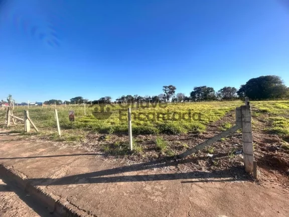 Imagem Rural / Chácara na cidade de Penápolis