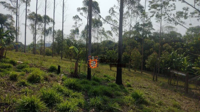 Imagem Sítio à venda, 145000 m² por R$ 1.910.000,00 - Biritiba Ussu - Mogi das Cruzes/SP