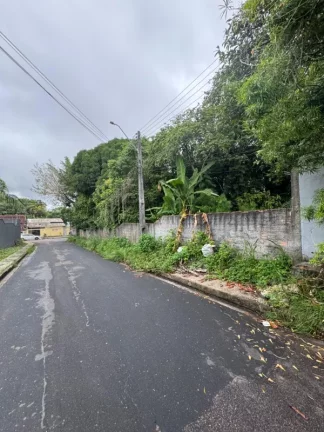 Foto do imóvel TERRENO RESIDENCIAL em MANAUS - AM, FLORES